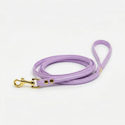 Laisse de chien violet