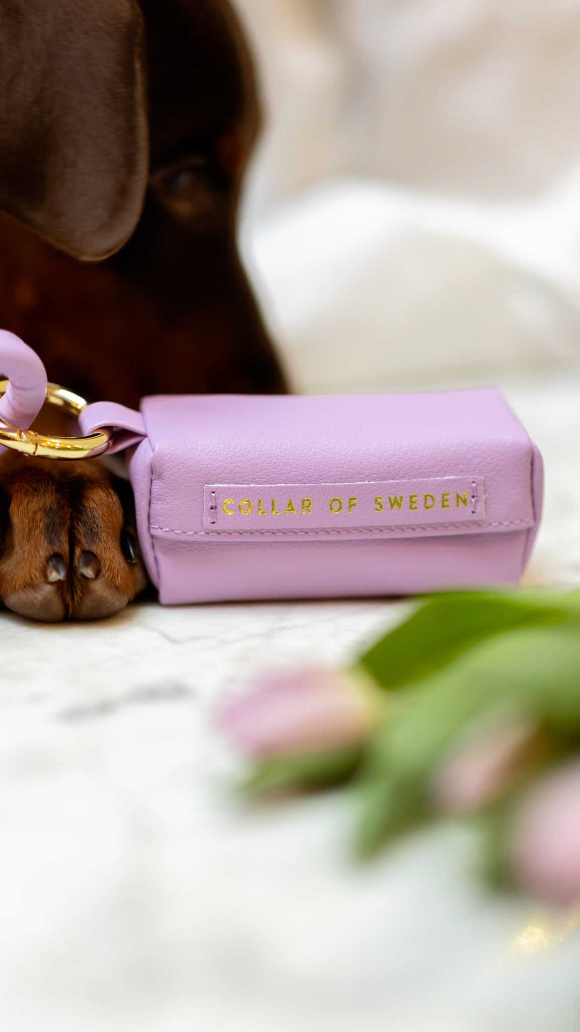 Porte-sac à crottes violet