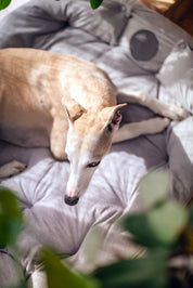 Lit pour chien gris 3 en 0