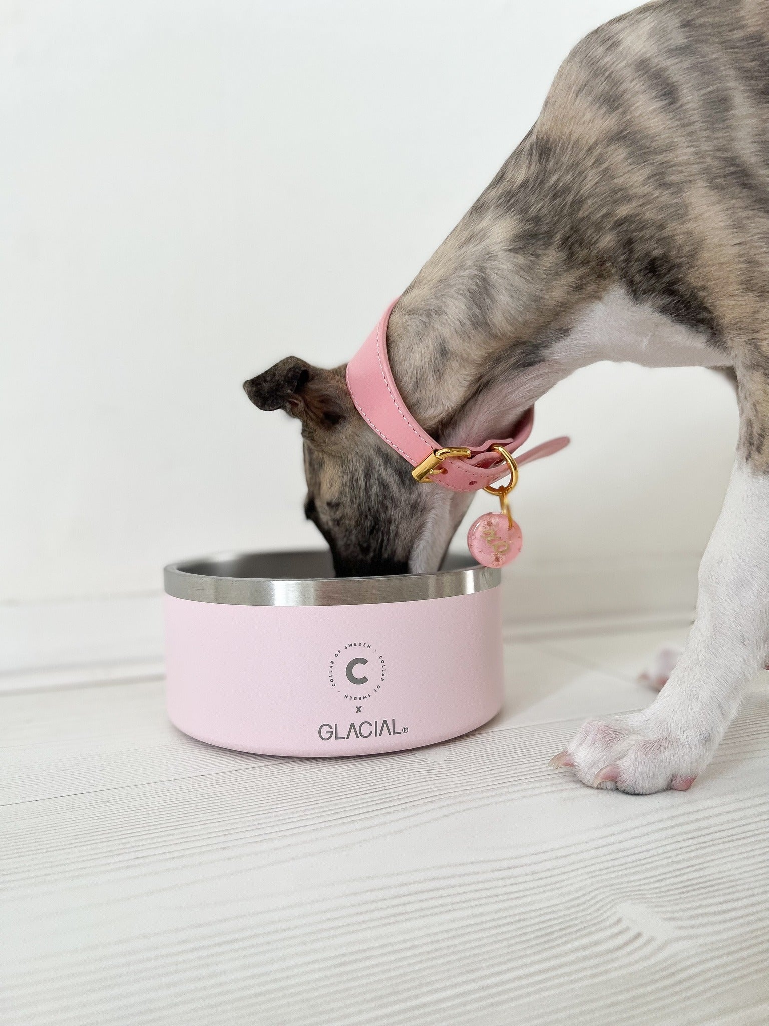 Bol pour chien rose clair