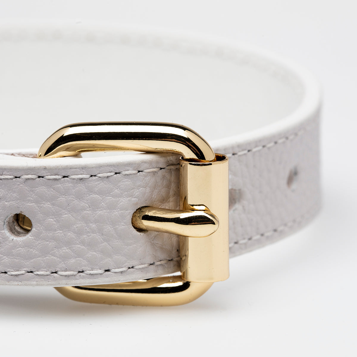 Collier de chien blanc fin