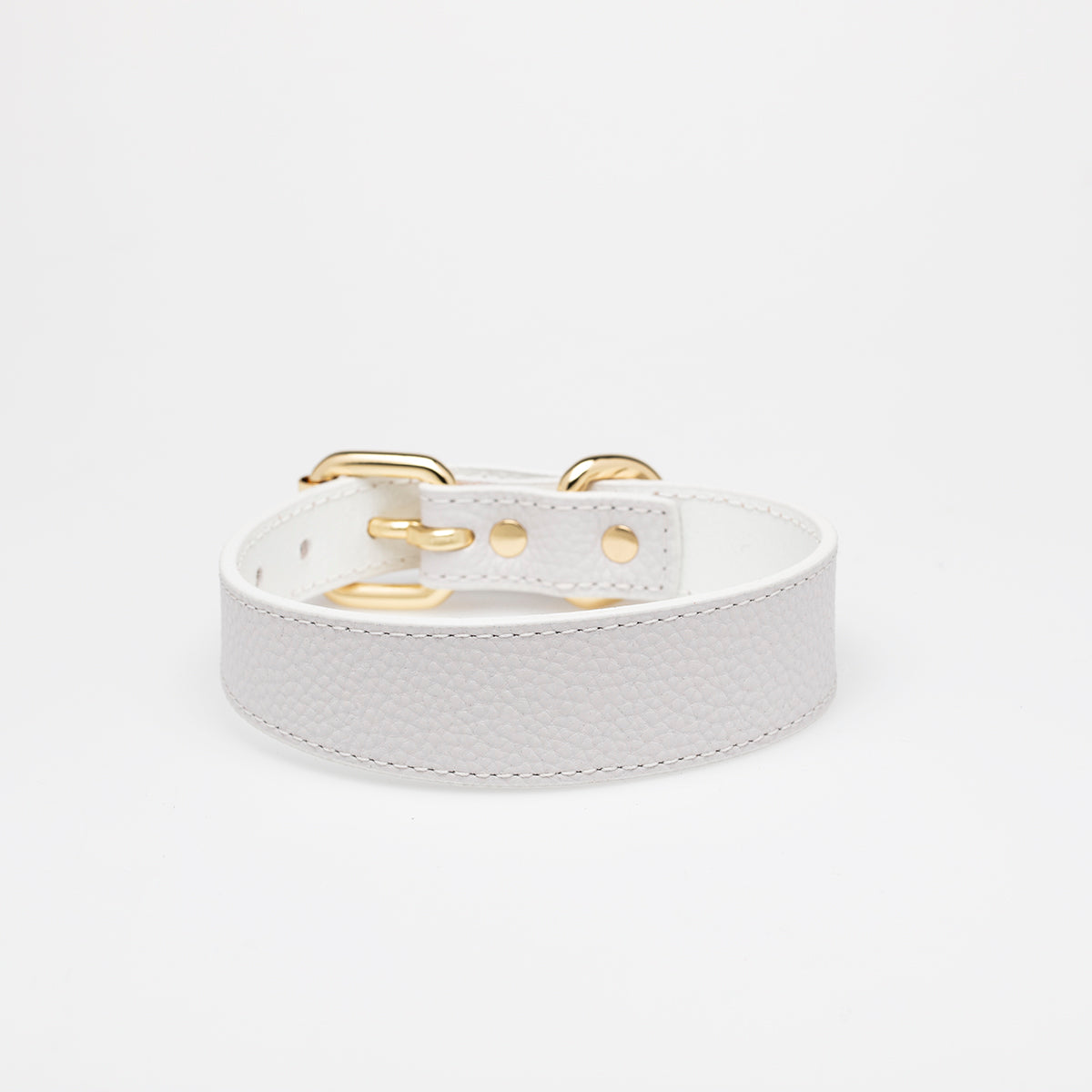 Collier de chien blanc fin