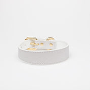 Collier de chien blanc fin