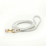 Laisse pour chien blanc