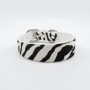 Collier pour chien Zèbre Thin